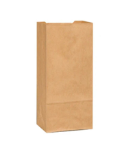 Paper Bag 16